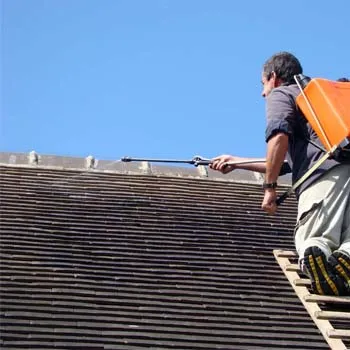 Nettoyage démoussage de toiture 09 Ariège